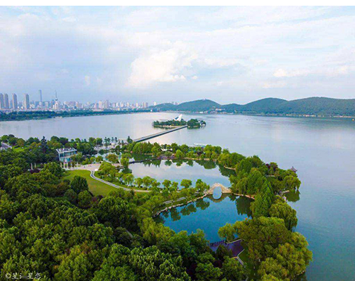 hth官方网页入口